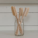 Dish Brush Tooth Brush Shape