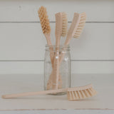 Dish Brush Tooth Brush Shape